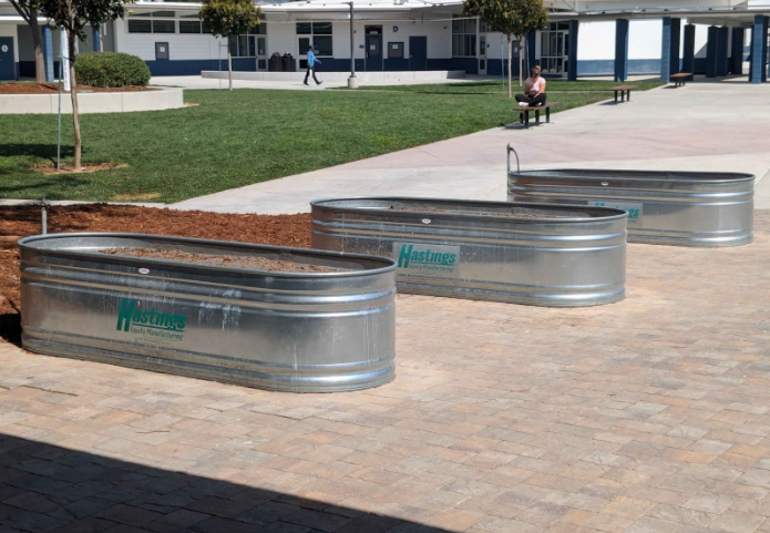 The sorry excuse of what could be considered Tech High’s existing “garden” is nothing more than three empty planters, seldom used and often forgotten (Photo By: Nathaniel Knoy).
